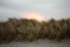 firo060122Hohwachtj02
