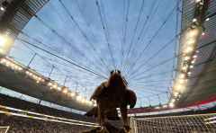 Fussball / firo Eintracht Frankfurt - BVB 29.10.2022