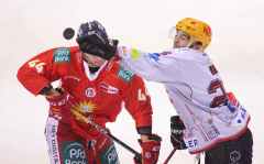 Eishockey / firo DEG - Bremerhaven 30.12.2022