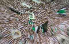 Fussball / firo  Mönchengladbach - Bayer LEverkusen 23.08.2024
